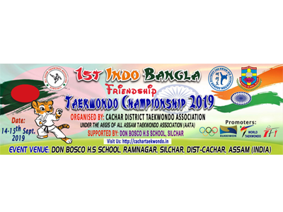 Taekwondo Banner